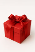 Free gift jewellery accessory included with order - JeevaFashions